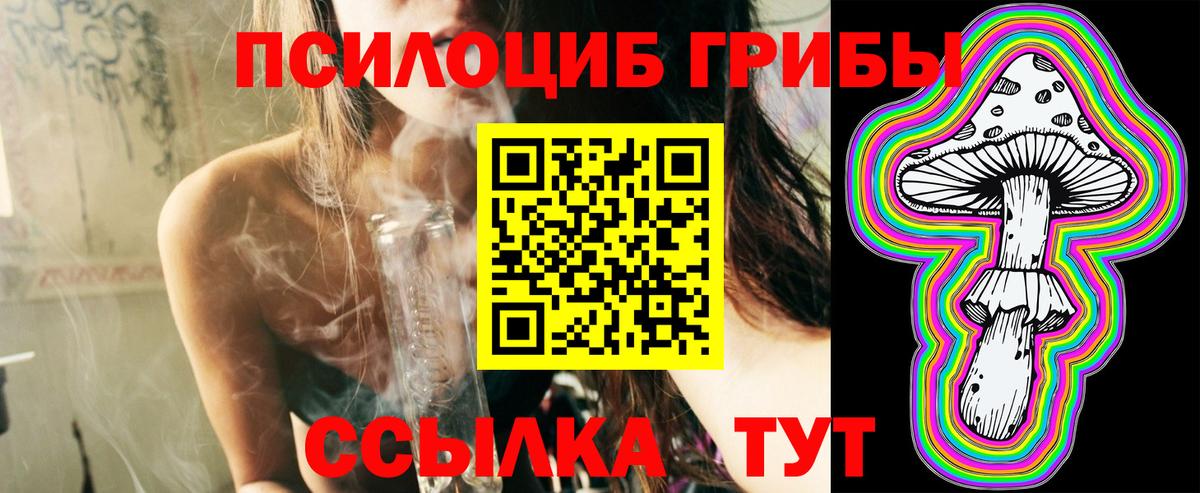 Галлюциногенные грибы мухоморы Октябрьский