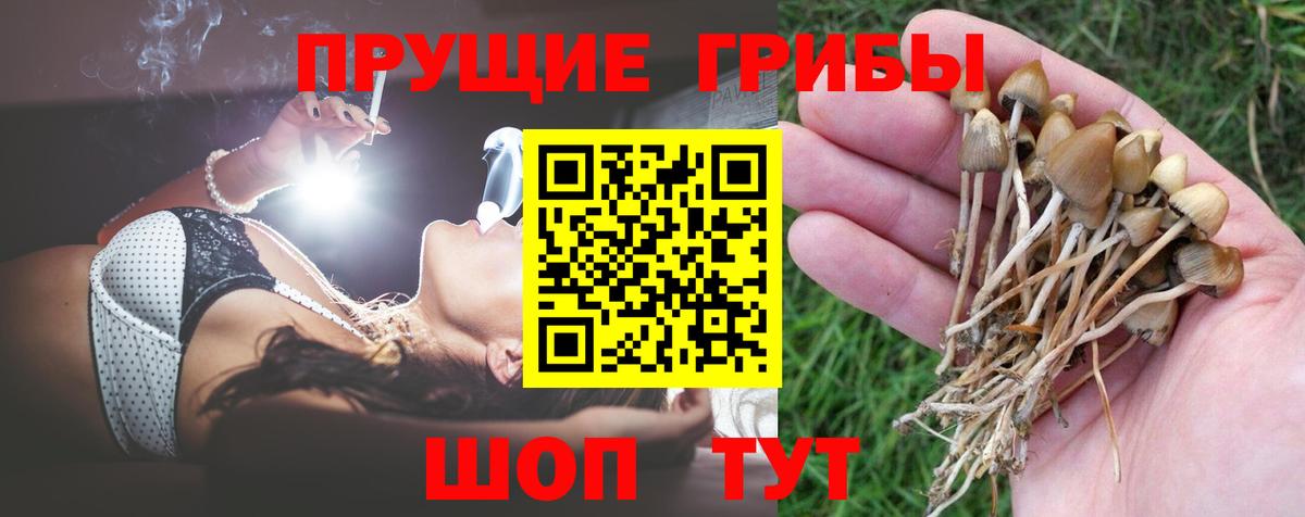 Псилоцибиновые грибы GOLDEN TEACHER  Галлюциногенные грибы Magic Shrooms  Вход с VPN  Октябрьский 